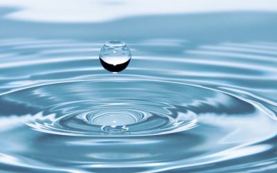 MMS Gives Back: Flint Water Distribution