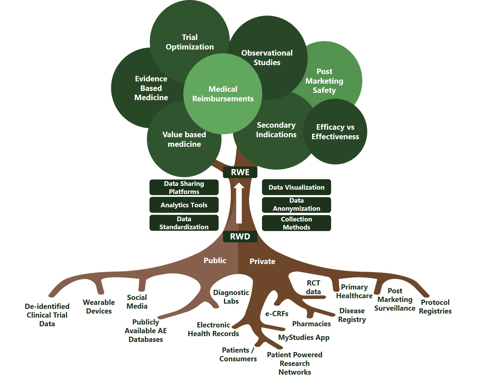 Experts In Data Science Real World Data Mms Holdings Holdings