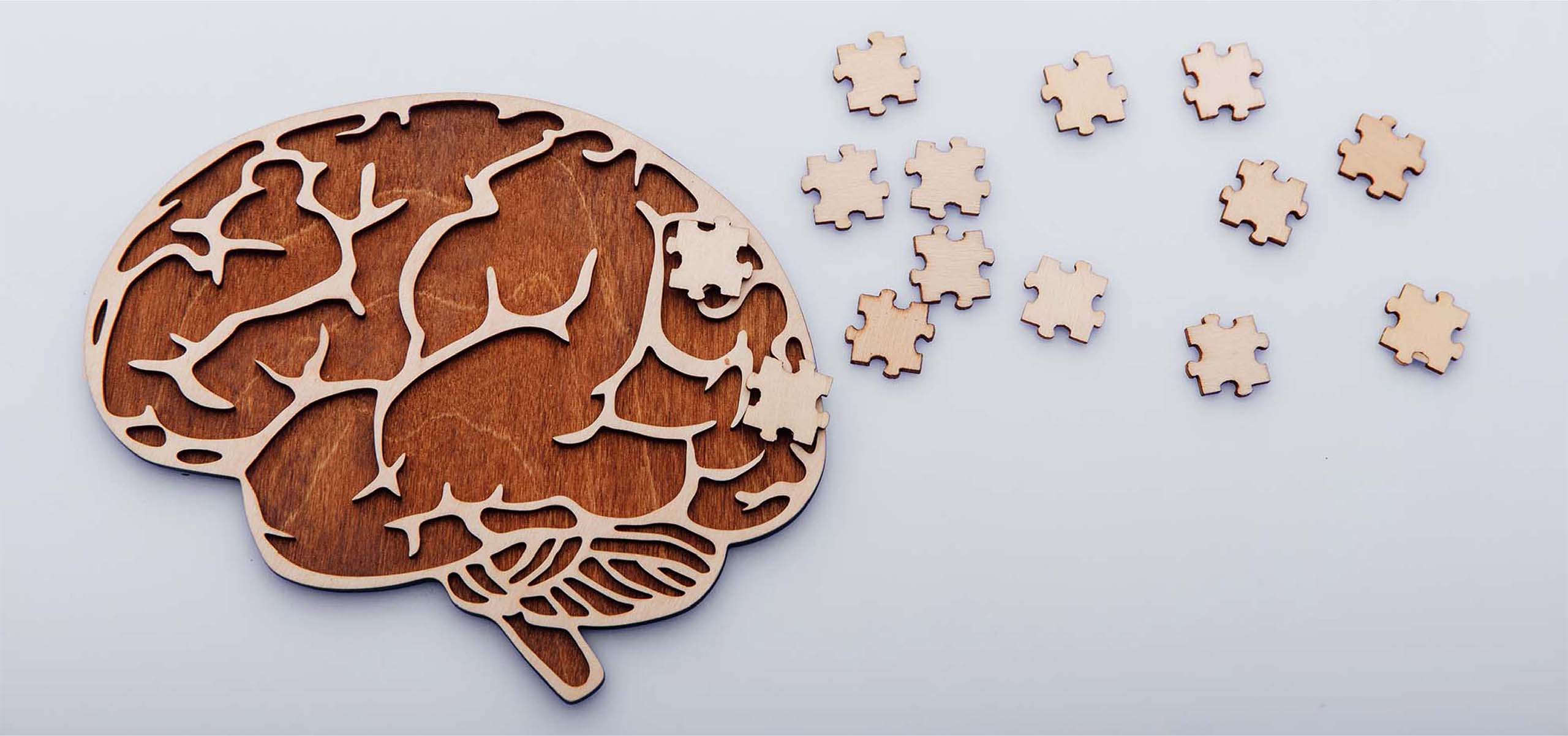 Alzheimer's Disease (blog) scaled Praxis Bioresearch