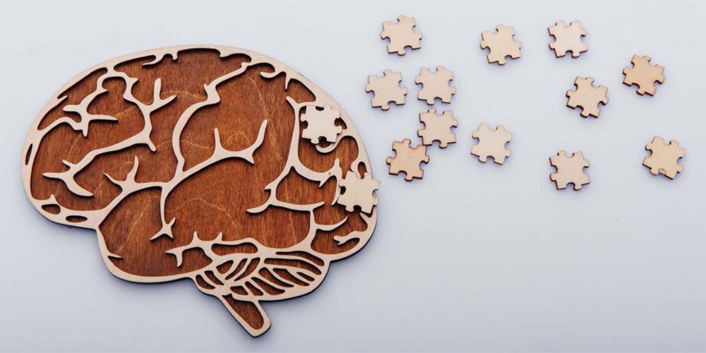 Praxis bioresearch seeks support from MMS for Alzheimers Disease Therapeutics