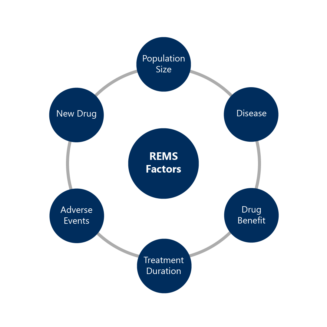 6 factors of FDA REMS Program