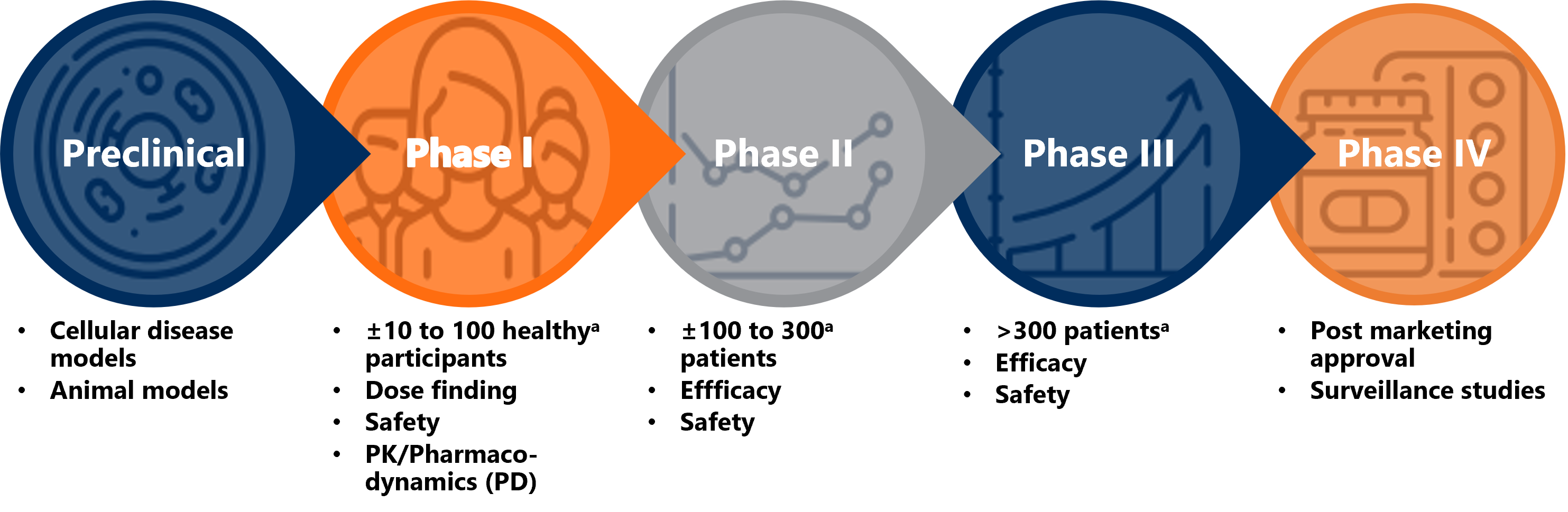 Phases of the Clinical Trial Development